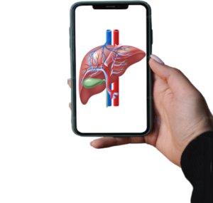 A Phone call from your Liver!